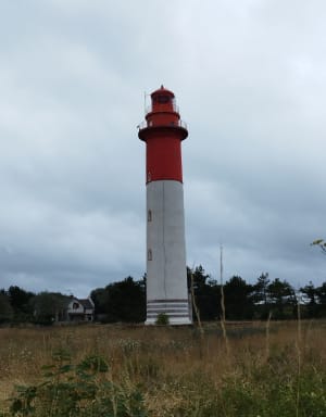 De la dune à la mer, depuis le Phare de Cayeux - Cayeux-sur-Mer - 4