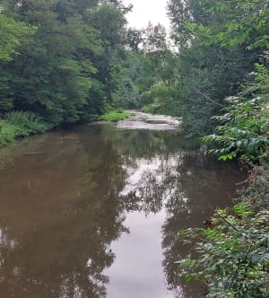 Chemins au bord de l’Allier - Limons - 3