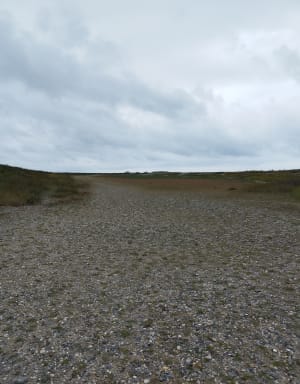 De la dune à la mer, depuis le Phare de Cayeux - Cayeux-sur-Mer - 5