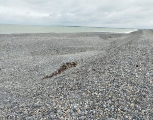 De la dune à la mer, depuis le Phare de Cayeux - Cayeux-sur-Mer - 6