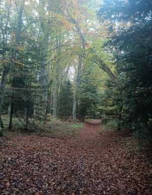 Saint-Genès-Champanelle et mise au vert sur un plateau - Nadaillat - 3
