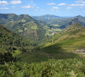Au pied des Crêtes d'Iparla et Col de Lacho - Bidarray - 23