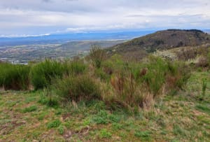 Tour du Puy de la Bannière - Volvic - 20
