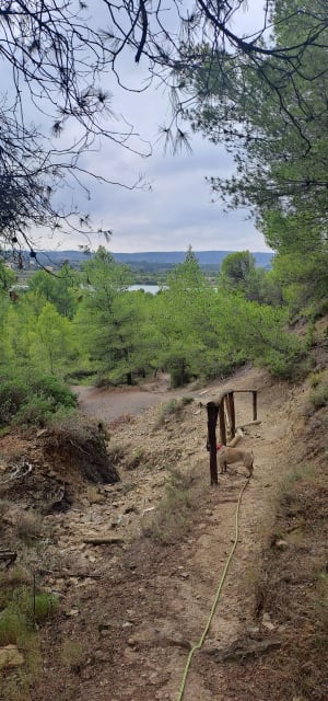 Balade champêtre sur Argens Minervois et Lac des Aiguilles - Argens-Minervois - 16