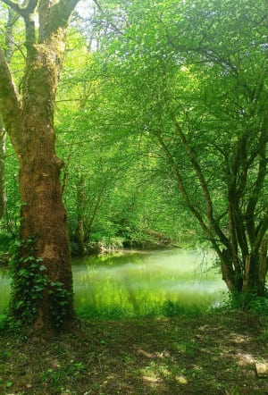 Tour de roussines - Nanteuil-en-Vallée - 4