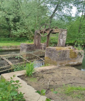 Balade dans les marais autour de Montreuil et centre-ville - FREDERIC - 9