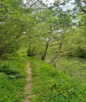 Balade dans les marais autour de Montreuil et centre-ville - FREDERIC - 11