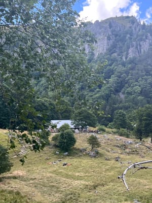 Sentier des Roches au départ des Trois Fours - Melissa - 9