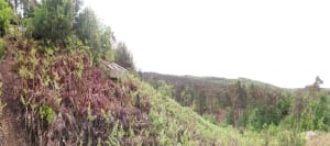 Sortie VTT de la mare aux fées à la grotte Béatrix et la pierre - Moret-Loing-et-Orvanne - 3
