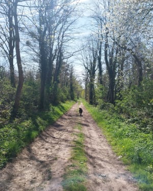 Entre Isles et Germigny - Isles-les-Meldeuses - 7