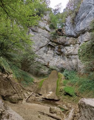 Cascade de Quinquenouille et bord du Dard - Valzin en Petite Montagne - 5