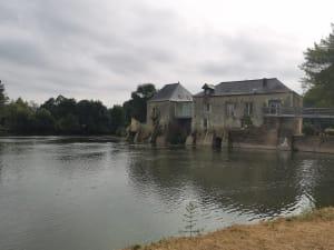 Balade sur les rives du Loir à Villevêque et paysage rural - Rives-du-Loir-en-Anjou - 3