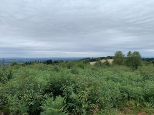 Autour du Mont Gargan - Saint-Gilles-les-Forêts - 9