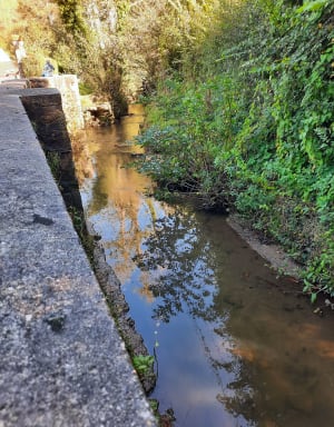 Entre terre et mer à Boulogne-sur-Mer et falaises d’Opale - Boulogne-sur-Mer - 27