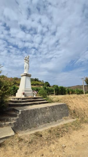 Sur les hauteurs de Serrières - Serrières - 8