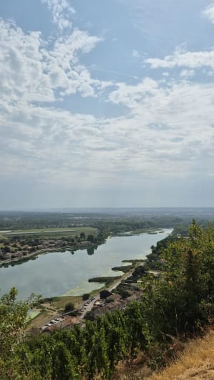 Sur les hauteurs de Serrières - Serrières - 9