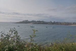 Balade au Petit Mont dans le Morbihan - Arzon - 19