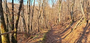 Gouffre, grottes et points de vues - Val Suzon - 41
