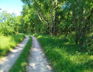 Rando entre Saugon et Saint-Girons-d'Aiguevives - Saint-Girons-d'Aiguevives - 4