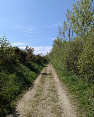 Vogeldomeinen en vijver van Grévillou - Mazères - 2