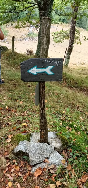 Promenade de l’Arrieulat - Lau-Balagnas - 7