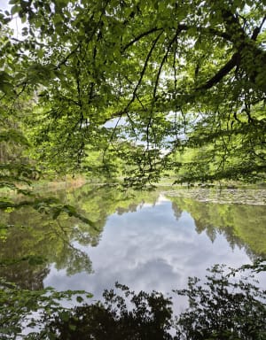 Étang d'Huchère par le rond cailloux - Emilie - 9