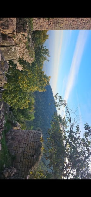 Randonnée des castels d'Husseren-les-Châteaux - Husseren-les-Châteaux - 8