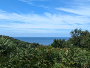 Balade au Tilleul avec magnifique panorama - Le Tilleul - 30