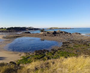 Van Saint-Briac tot Saint-Lunaire - Saint-Briac-sur-Mer - 9