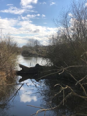 Balade au belvédère de César et Pont Rouge - Chipilly - 21