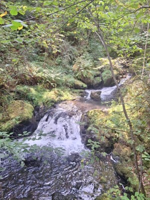 Balade entre Besse et la Cascades de Chiloza - Besse-et-Saint-Anastaise - 60