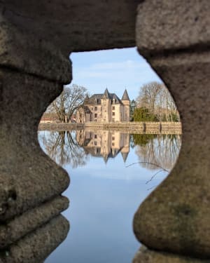 Promenade dans la fôret de Nieul - Nieul - 14