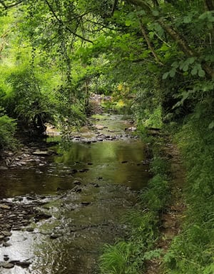 Etang de Rochefort et coulée de la Divatte - christophe - 4