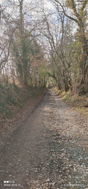 Petite balade à Saint-Étienne de Saint Geoirs - Saint-Étienne-de-Saint-Geoirs - 7