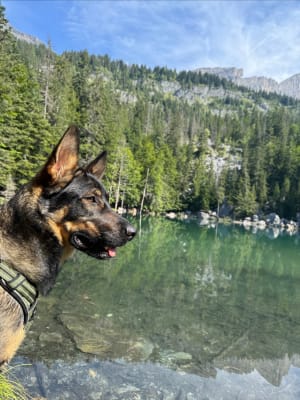 La balade du lac vert conseillée par Nico Larrache - Passy - 17