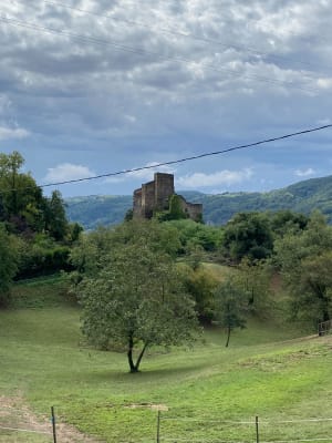 Seyssuel, château, vignes, vallée du Rhône - TOMMY - 12