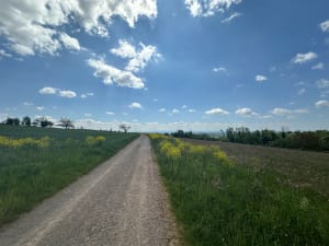 Au dessus de Bourbach-le-bas - Bourbach-le-Bas - 6