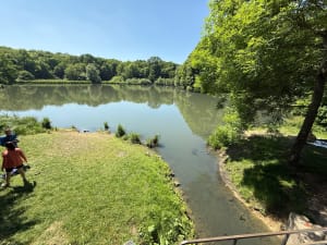 Balade dans la forêt de Meudon - Meudon - 5