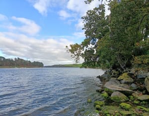 Pépite de la mer d’Iroise, l’Aber Benoit - Saint-Pabu - 20