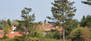 Balade autour de Saint-Just - Saint-Just-Saint-Rambert - 6