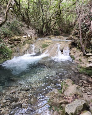 De boogbeek Vallon-Pont-d'Arc en de waterval van Pissevieille - Vallon-Pont-d'Arc - 134