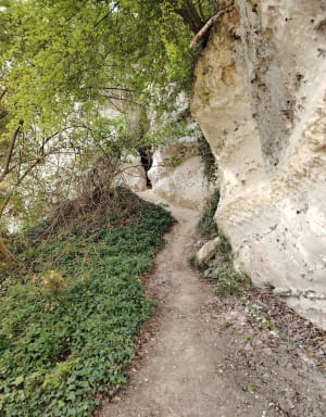 Les grottes et Roches d'Orival - Adeline - 32