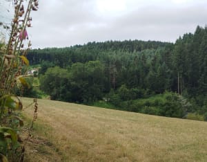 Balade de week-end et bords de Semène - La Séauve-sur-Semène - 2