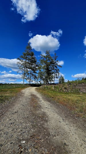 Stobrawski park krajobrazowy - Dąbrówka Łubniańska - 3