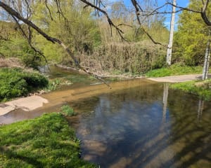 Gaudreville, Le sec Iton et Bois de la Haie - Gaudreville-la-Rivière - 13