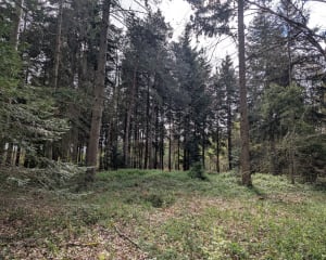 Gaudreville, Le sec Iton et Bois de la Haie - Gaudreville-la-Rivière - 16