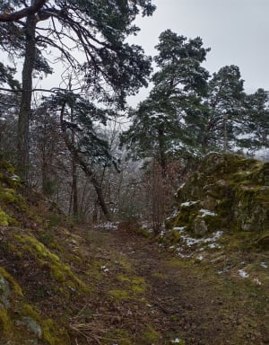 Balade argentée face au Château de Lavoûte-Polignac - Lavoûte-sur-Loire - 16