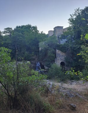 Grabels : on ne résiste pas à l'appel de l'oasis des garrigues - Grabels - 9