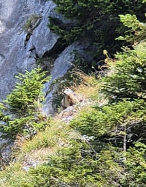 Trou de la Mouche et monts alpins qui se dévoilent - La Clusaz - 4
