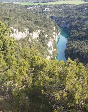 Wandel in het domein van de eouvières - Baudinard-sur-Verdon - 69